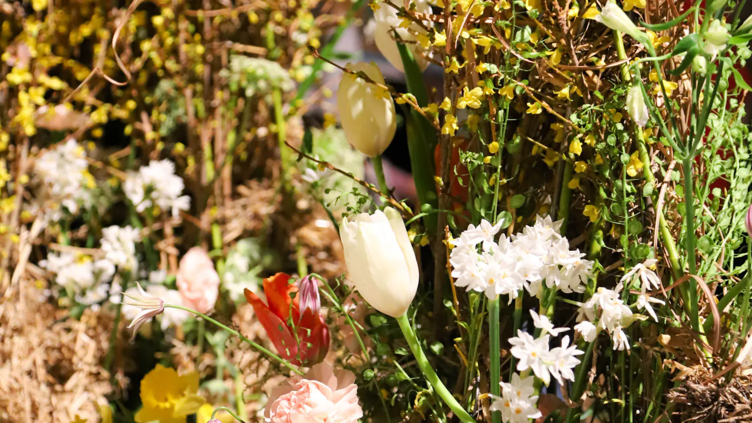 02-28-26 Philly Flower Show (Connie Zhao) 8-1.jpg