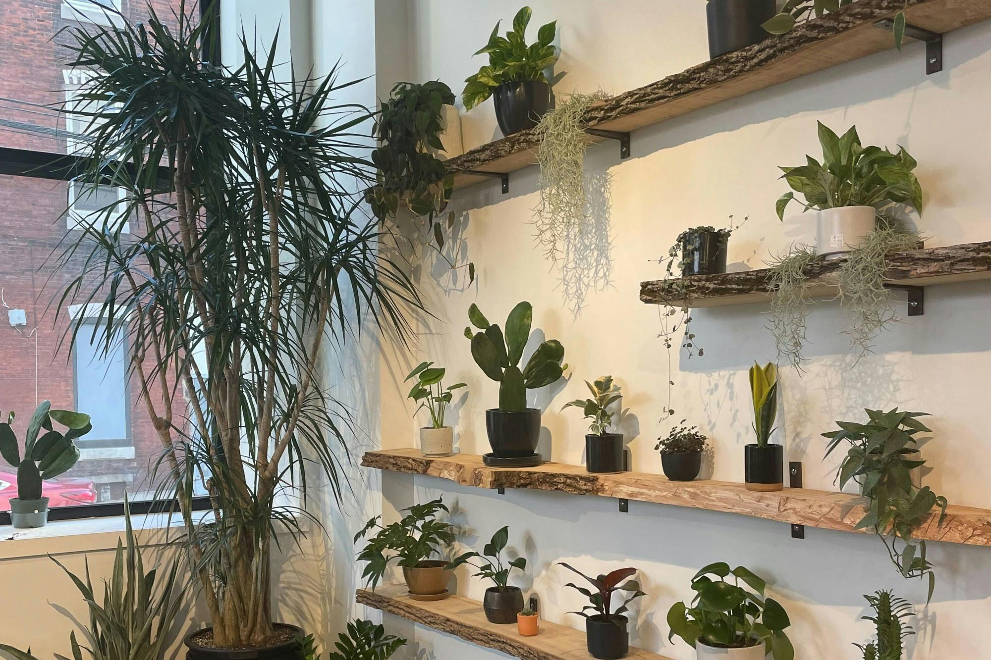 Image from iOS-2.jpg