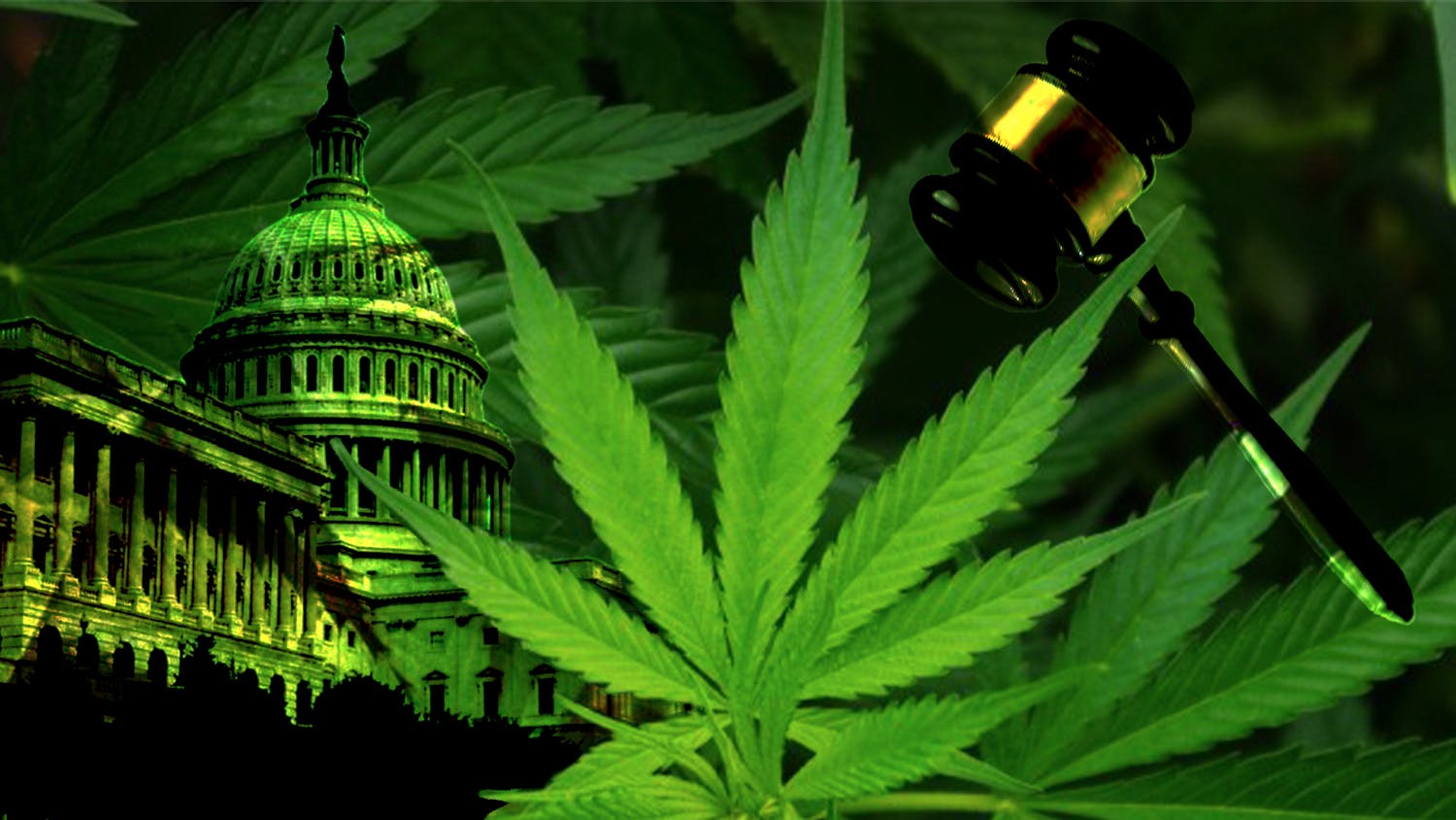 11-17-22 Weed Legal (Kylie Grimm).png