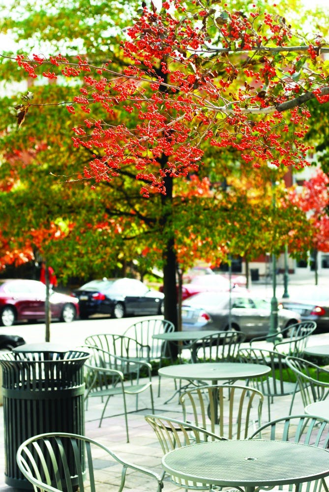feature photos of the fall on campus. sansom west and east, college hall and van pelt