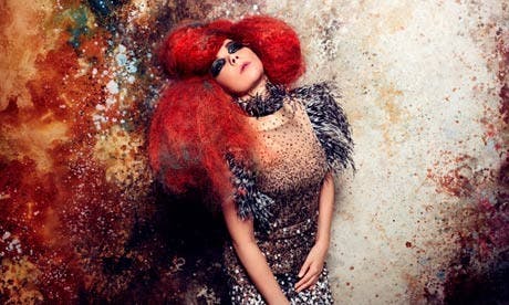Bjork in 2012