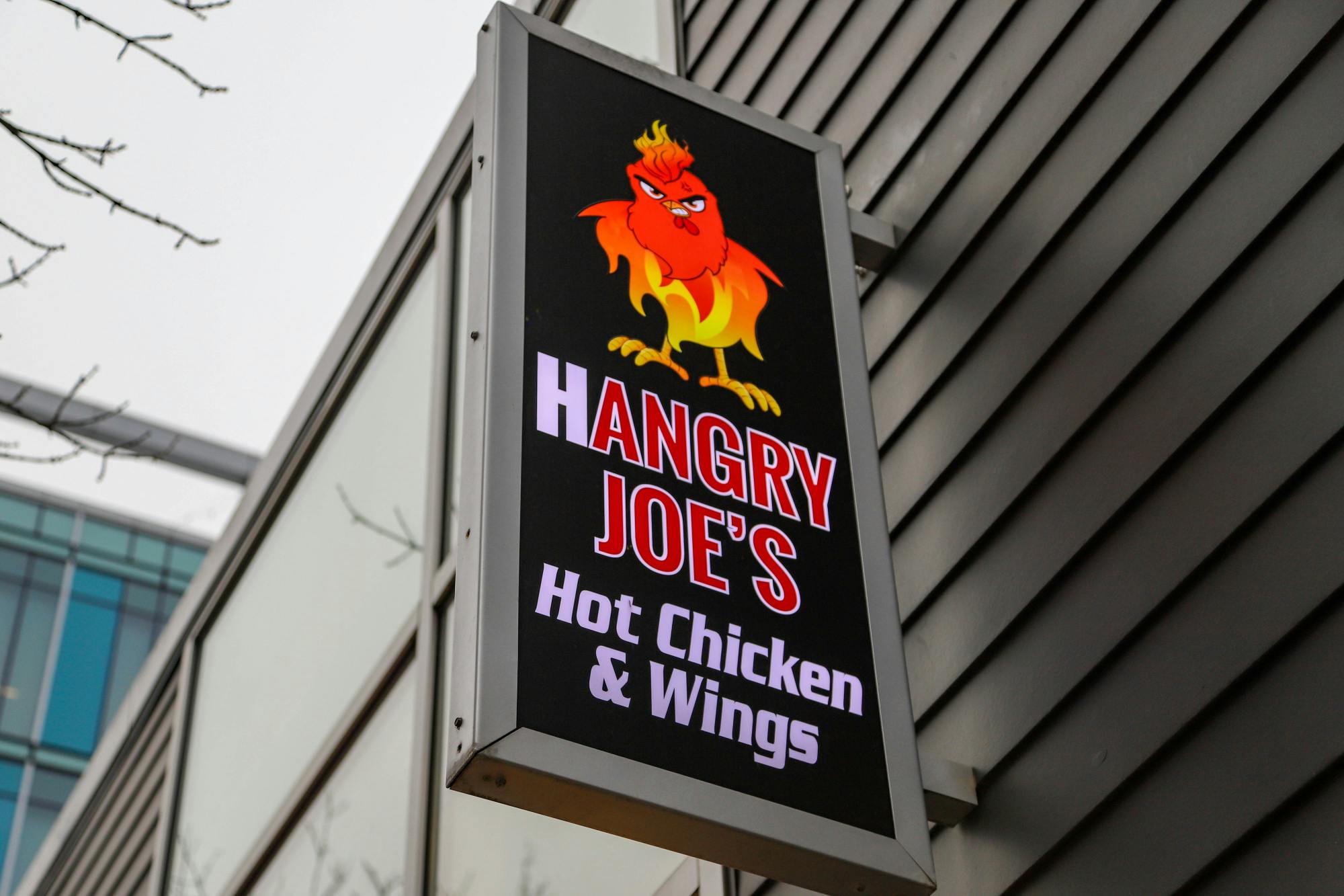 02-06-26 Hangry Joes-Saads-Virasat (Esha Singh) 2-1.jpg