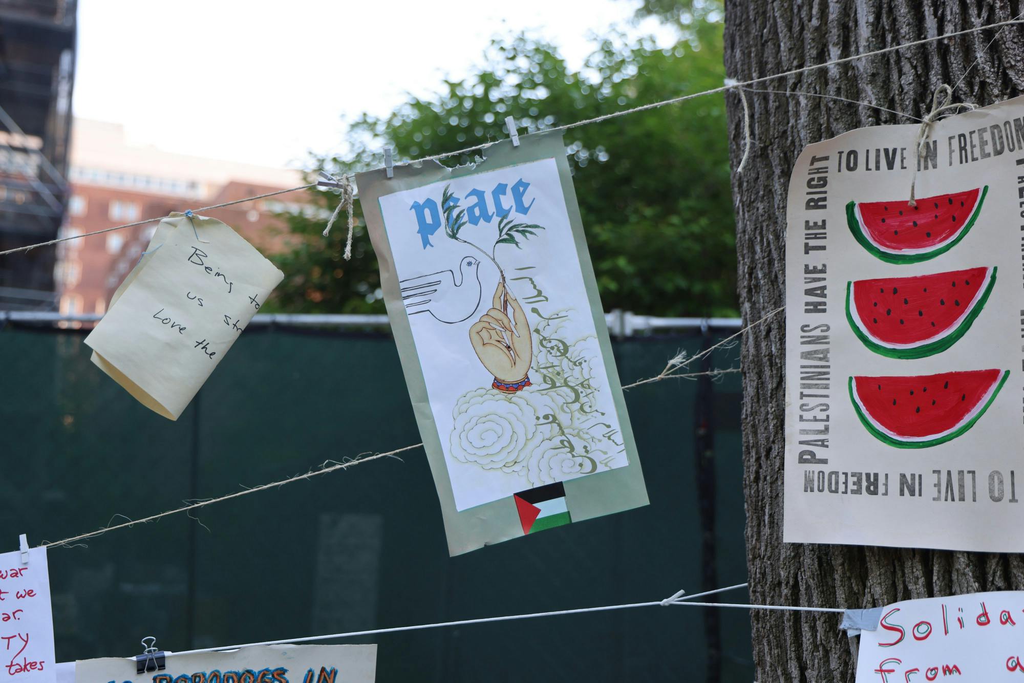 05-01-24 Encampment Art (Jean Park)