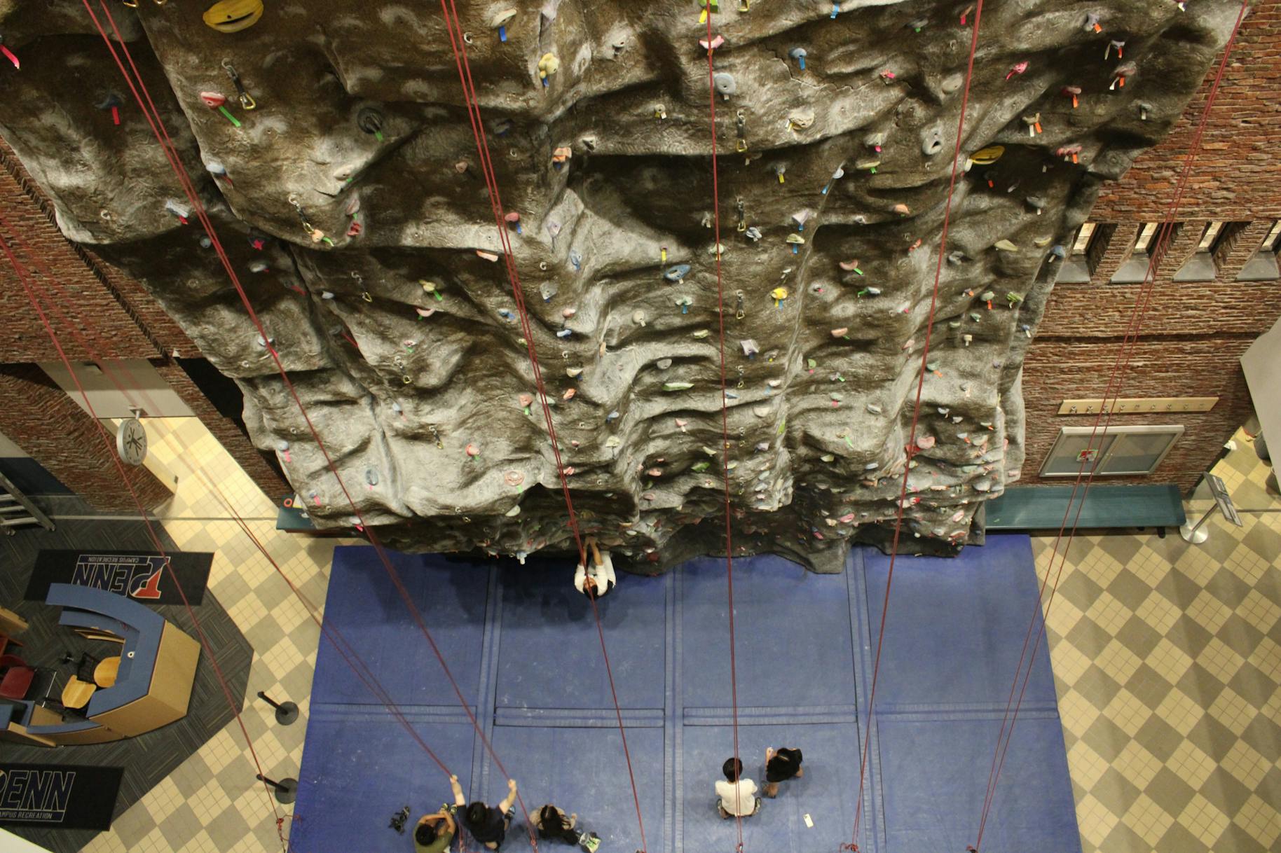 04-09-24 Rock Wall Birds Eye (Jean Park).jpg