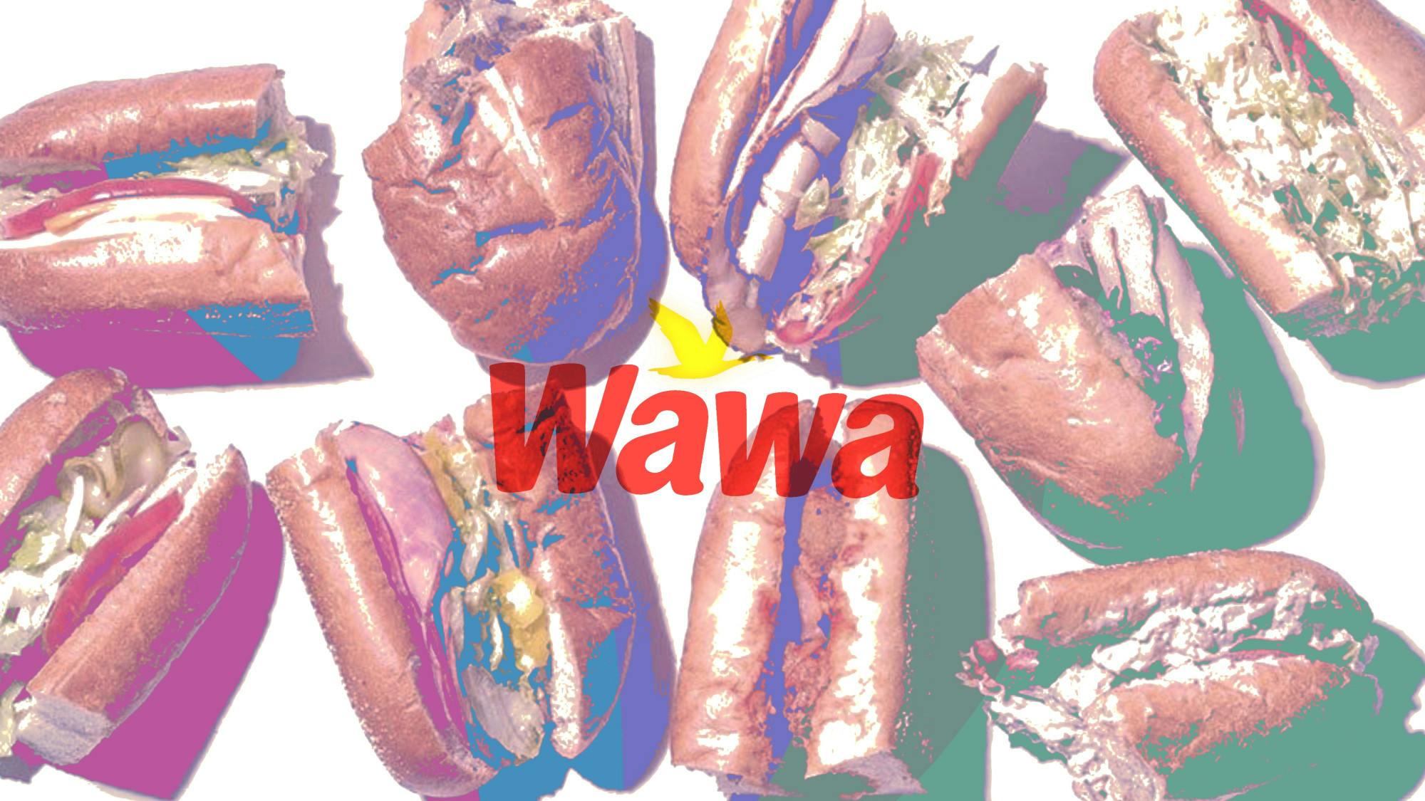 7-28-23 wawa hoagie (Katrina Itona)