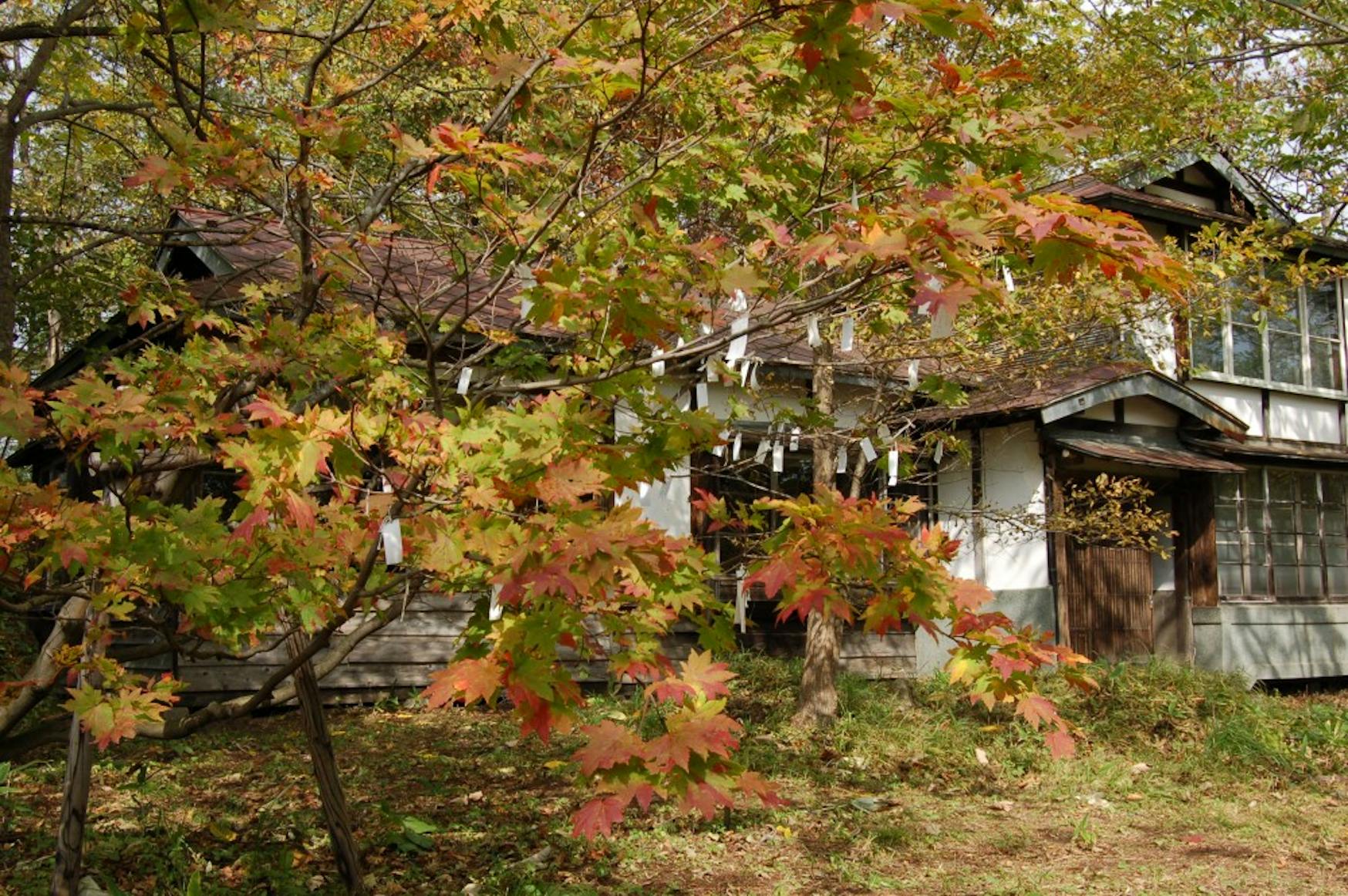 Wish Tree for Hokkaido (1996/2011).JPG