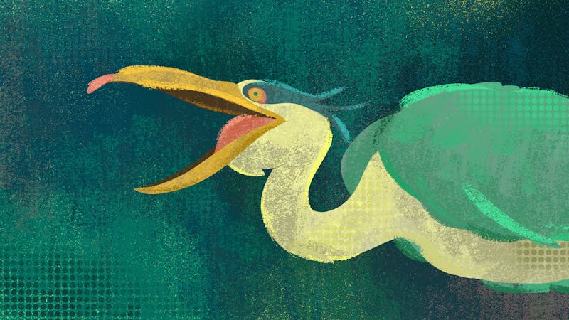 A Conversation on &#39;The Boy and the Heron&#39;
