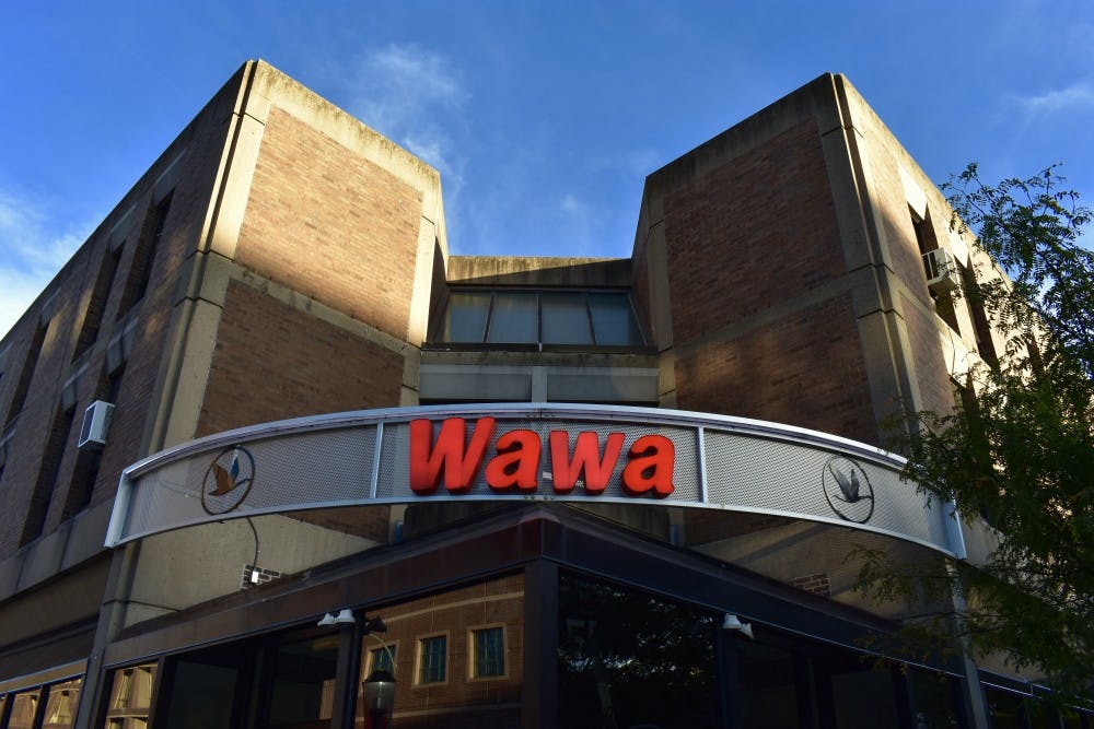 Riley Merkel%2FUltimate Guide to Wawa.jpeg