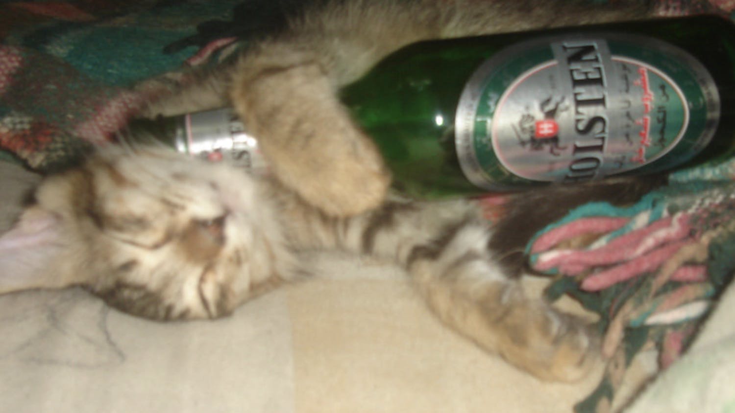 Screenshot 2024-11-03 at 11.21.10 PM.png