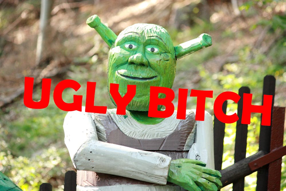 ugly-bitch-shrek