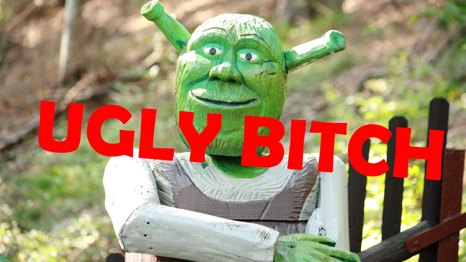 ugly bitch shrek.png