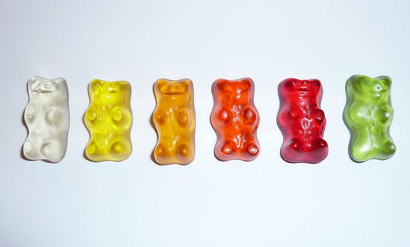 Freshman Misunderstands Penn’s “Online Shopping Period”, Buys World’s Largest Gummy Bear from Vat19.com 