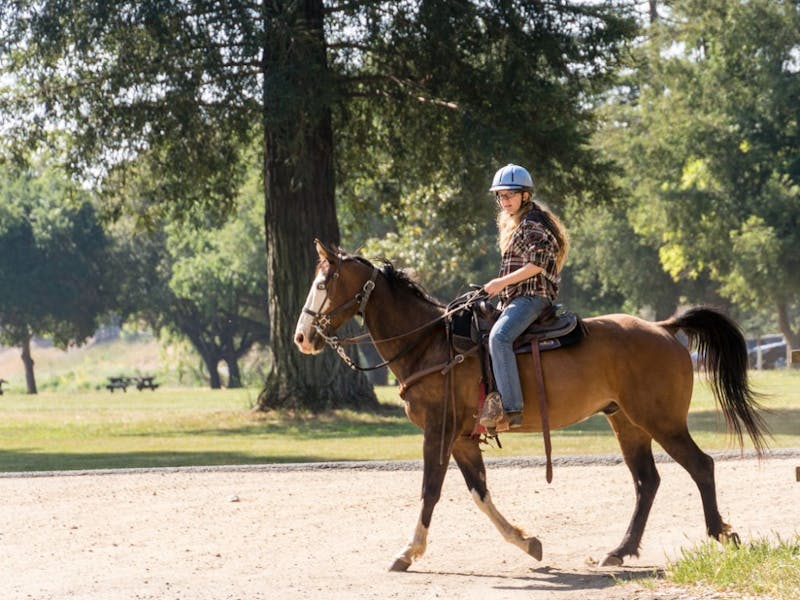 ​After Horse Girl Becomes Social Chair, Other Sisters Complain About the Constant Equestrian Themed Mixers