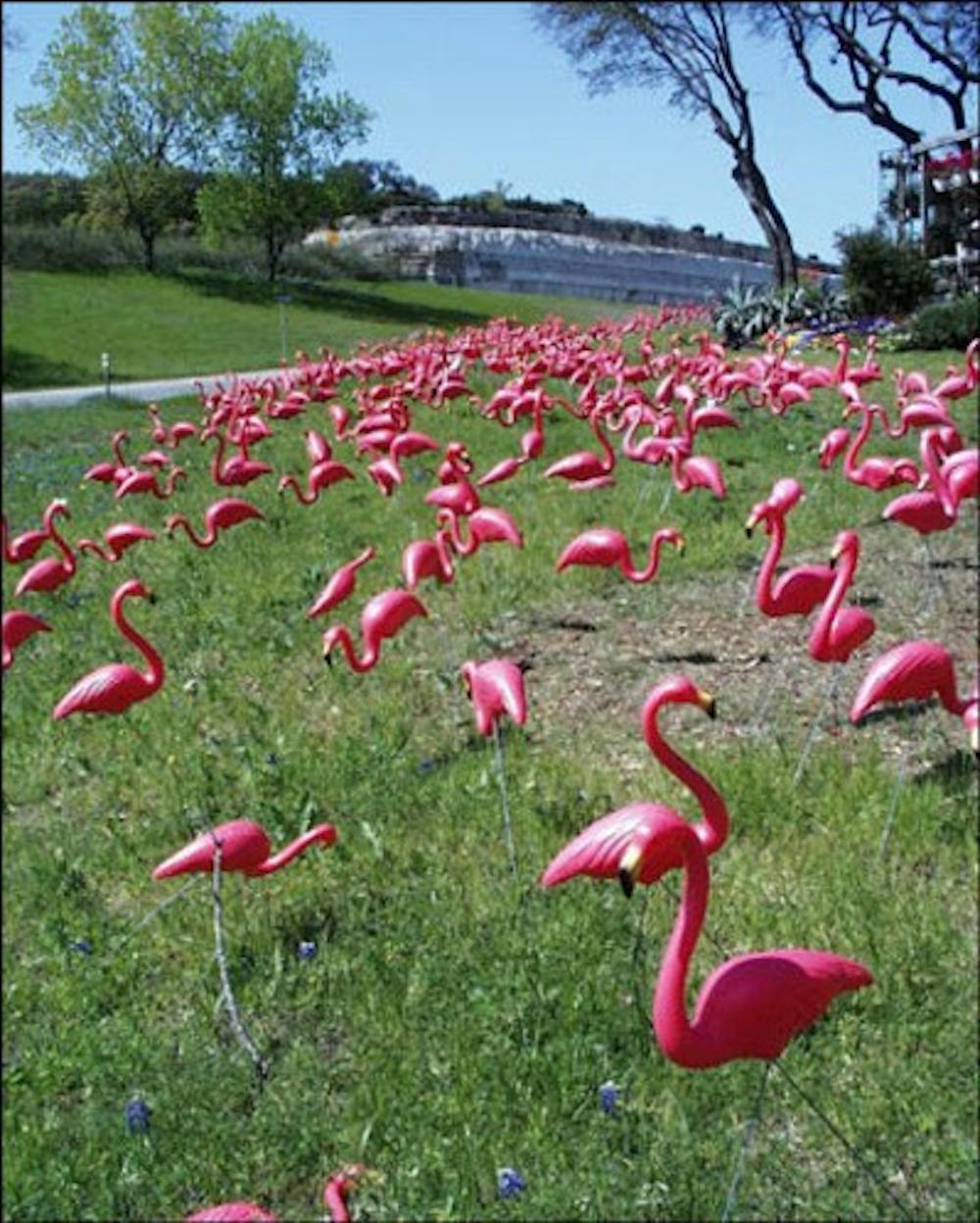 pink_plastic_flamingos