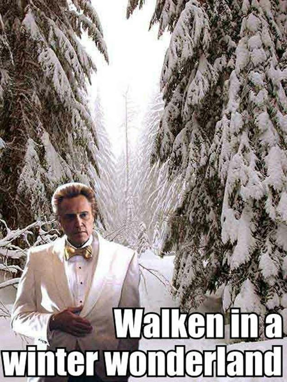 funny-pictures-walken-in-a-winter-wonderland