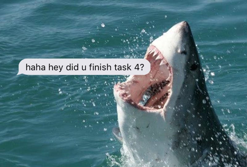 University Honor Council Spotted Stalking Terrified CIS Freshman Like Sharks Circling a Wounded Tuna