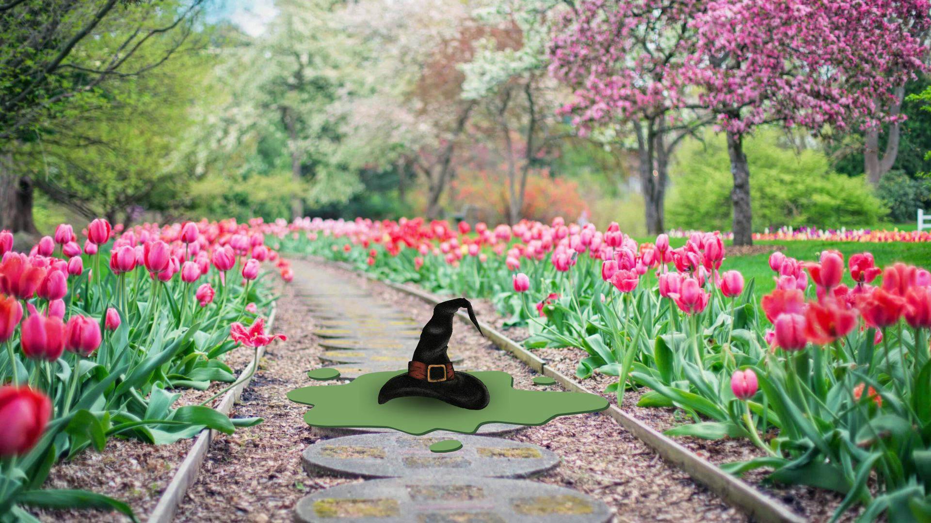 SPEC PRESENTS (2).heic