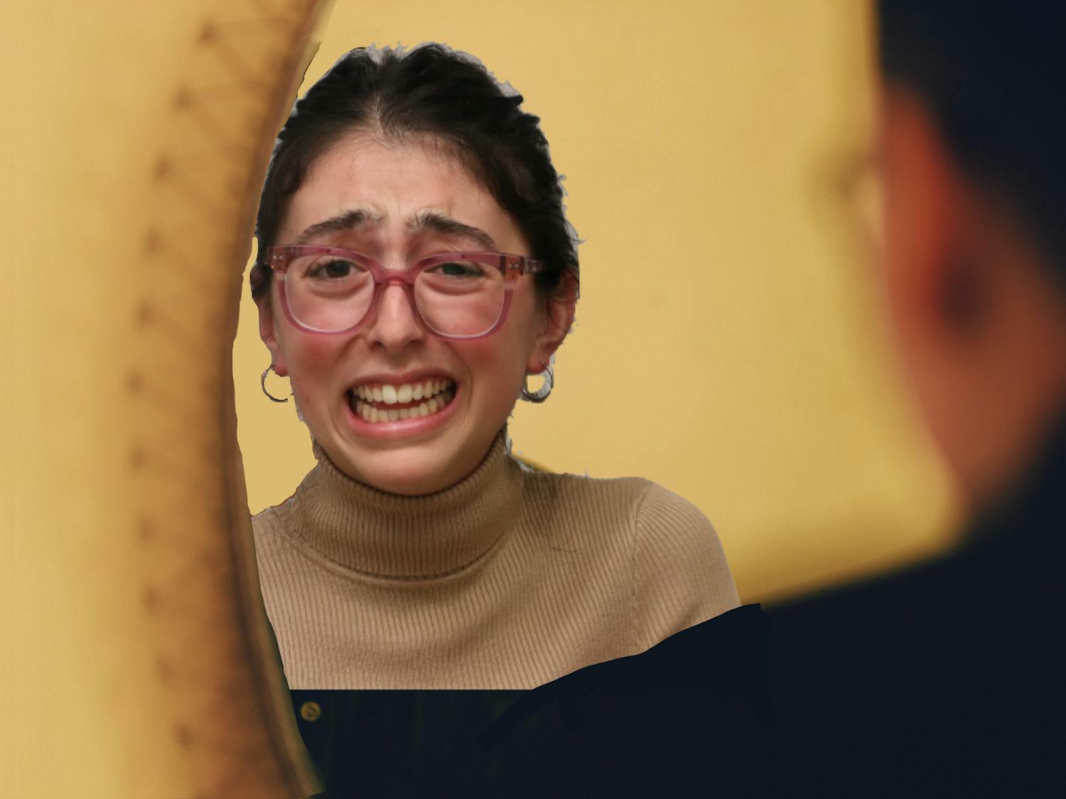 van pelt mirrors.png