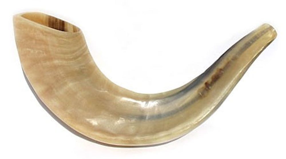 100708-yom-shofar