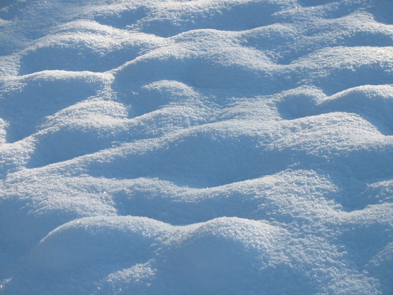 Student From California Spotted Snorting Snow in the Quad