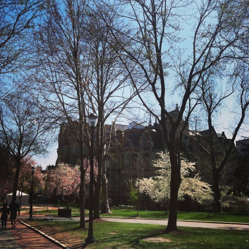 PennPorn Volume IV: Finally Springtime (?)