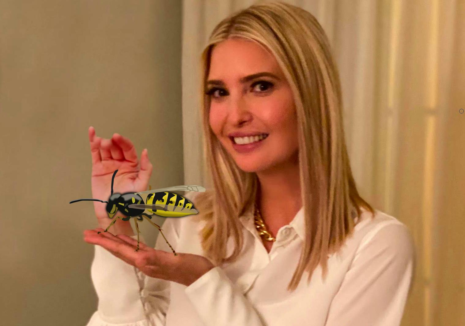 ivanka w hornet.PNG