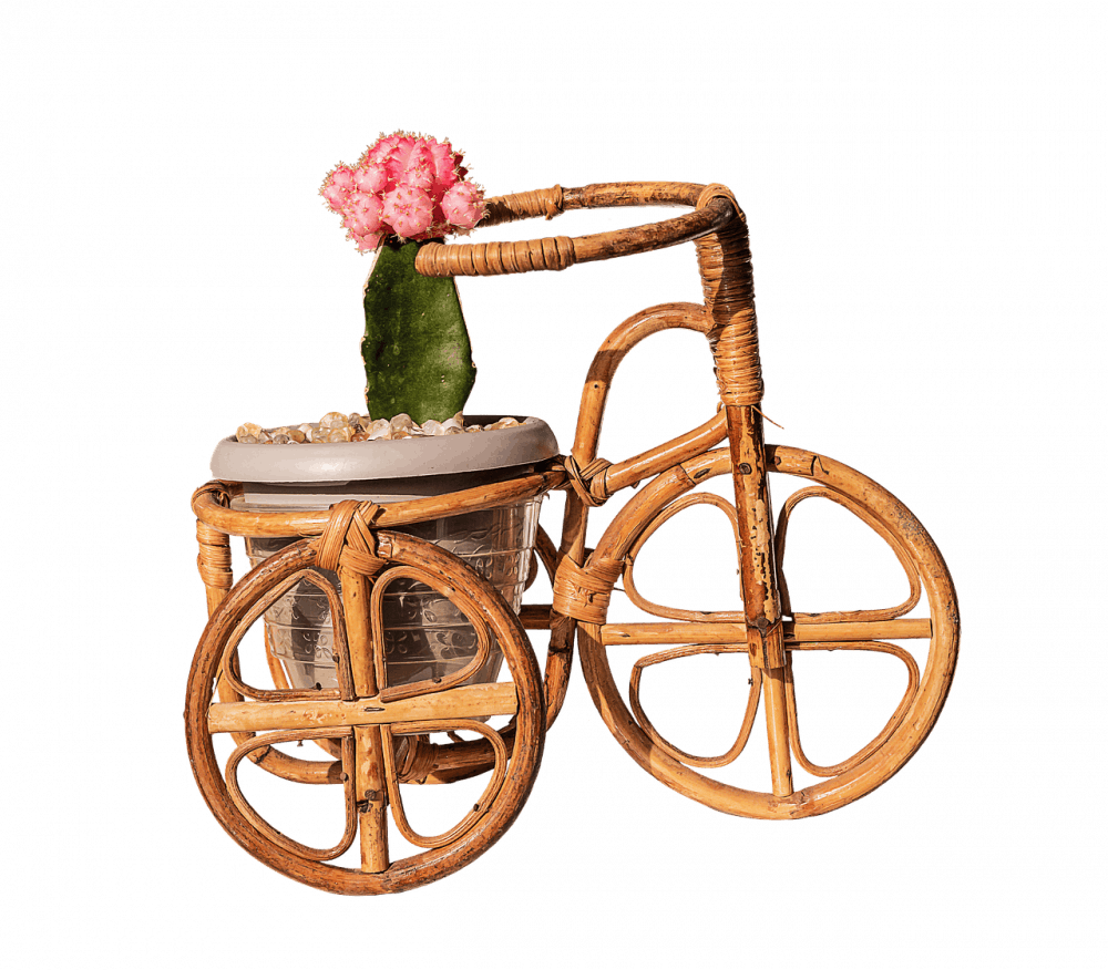 public_domain_pixabay_bike