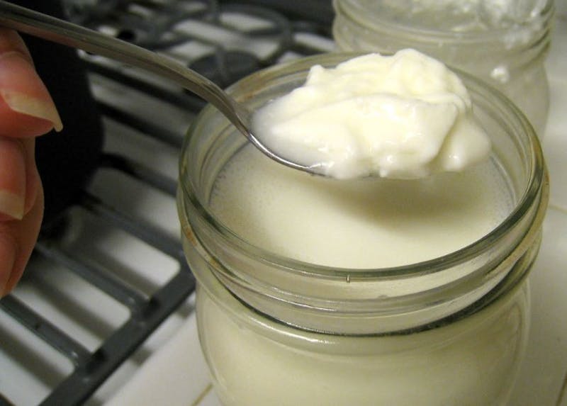 Yogurt Left in Fridge Over Break Now More Cultured Than Exchange Student Who Left It