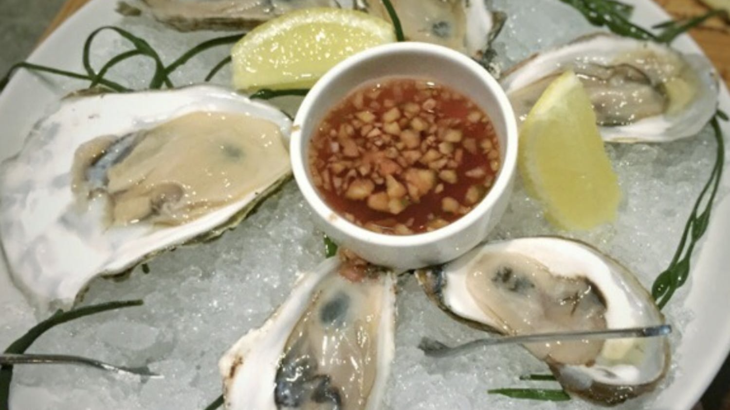 oyster