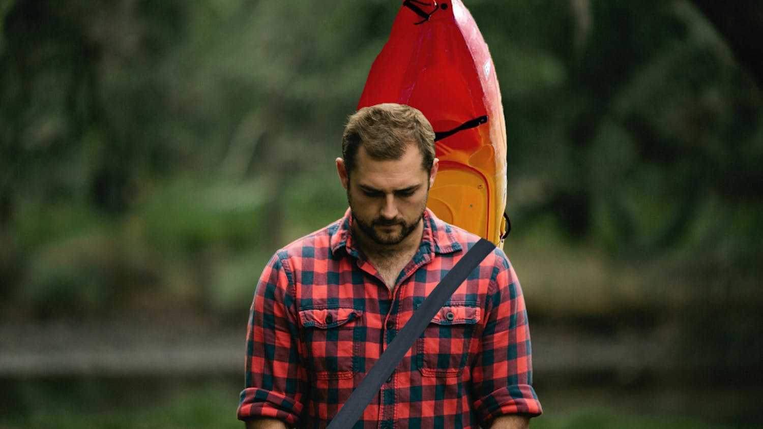 Photos (with edits by Natalia Joseph) by StockSnap / CC0 and paulbr75 / CC0