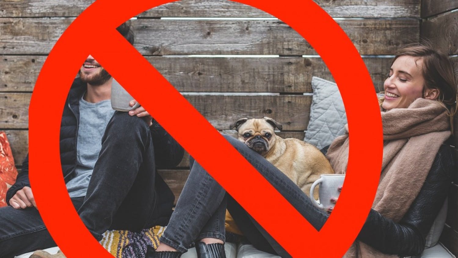 Edited by Amanda Nart, Original Photo from Pixabay / CC0