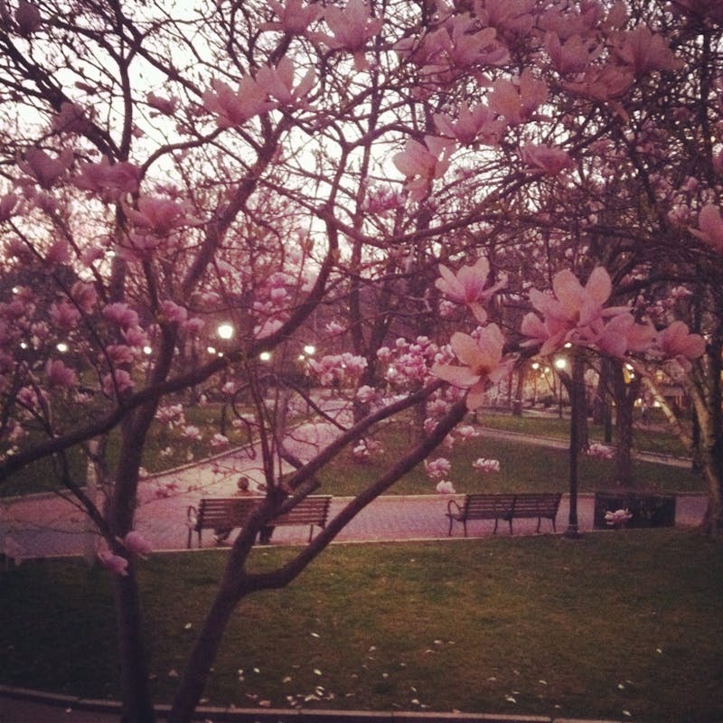 PennPorn Volume IV: Spring Is In The Air