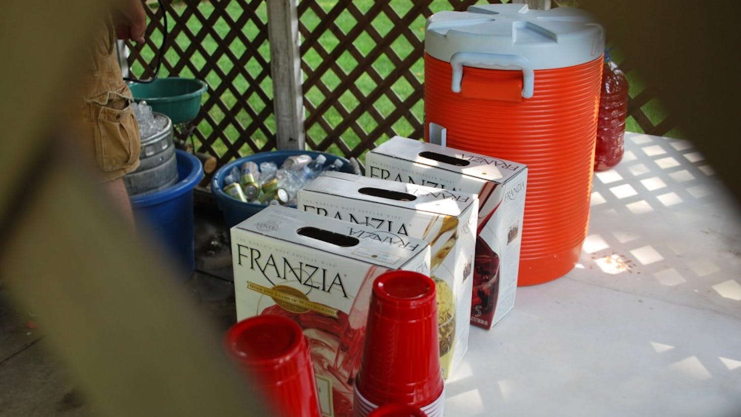 Photo by Carlos Saldivia / CC 2.0