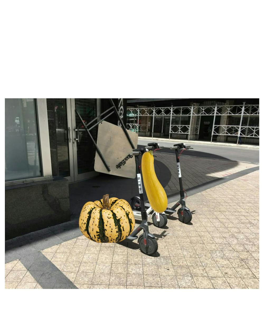 squashscooter.png
