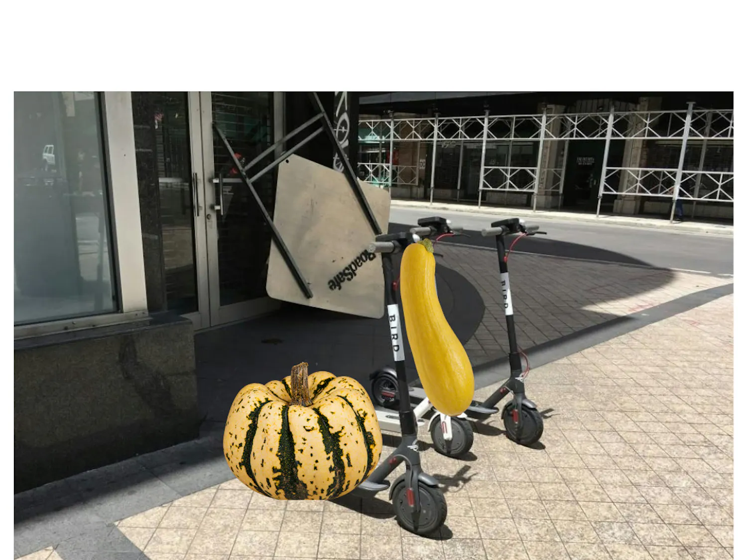 squashscooter.png