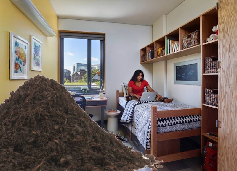 Inspiring: Brave Student Transforms Roommate's Side of Dorm into Compost Pile