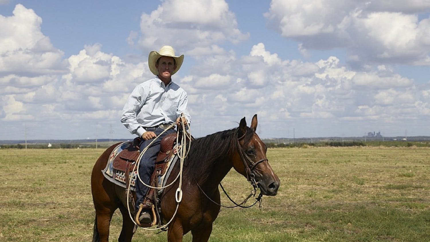 cowboy-746982_1280.jpg