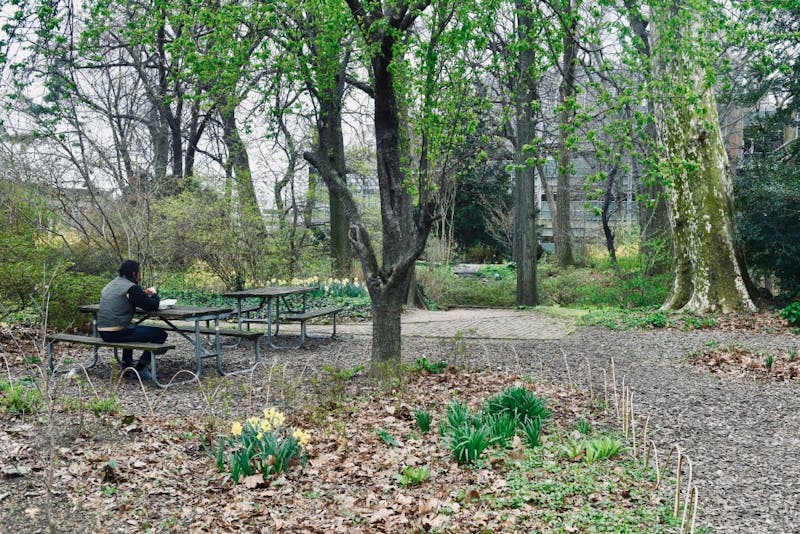 After BioPond Development, Penn Reaffirms Commitment to Green Space with Marijuana Dispensary