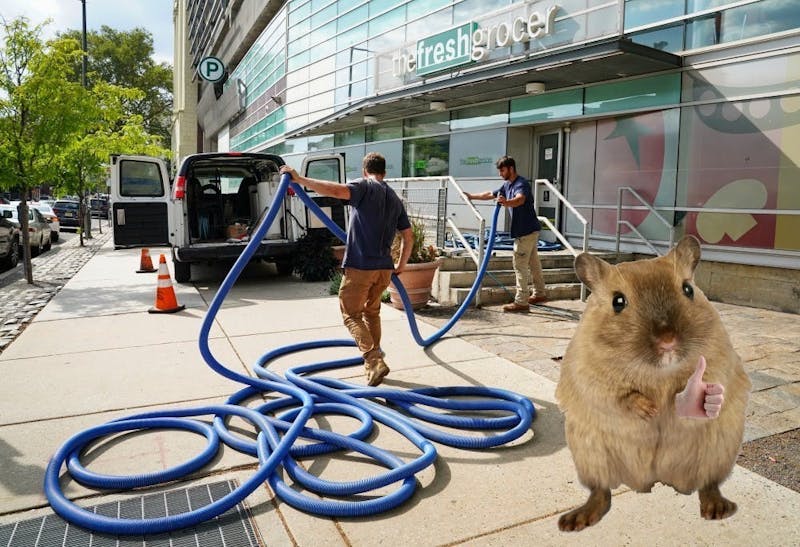 After Temporary Frogro Closure, Students Confused That “Visible Physical Evidence of Rodents” Now Considered a Problem