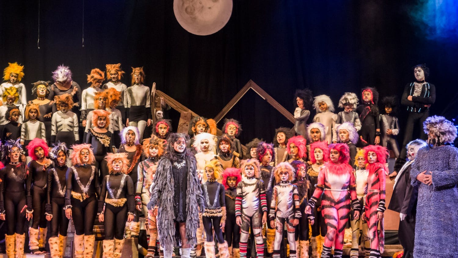 Cats The Musical