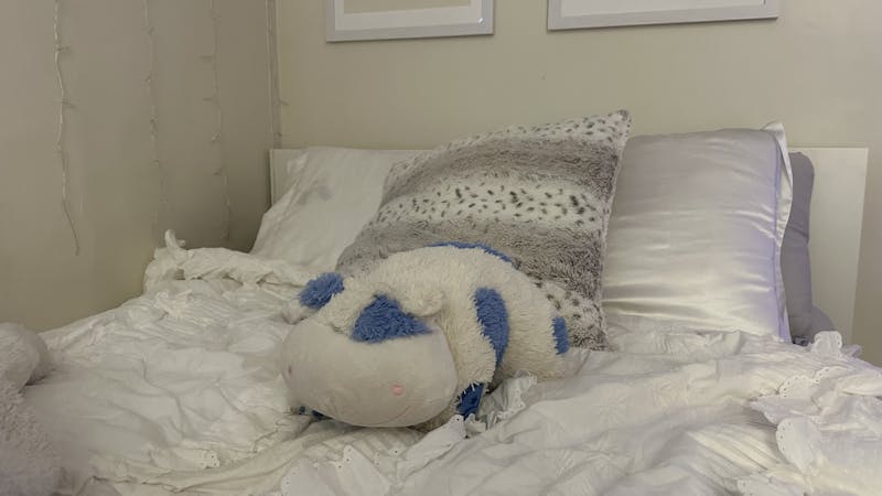 Childhood Stuffed Animal on Girl’s Bed Seen A Lot Since Freshman Year