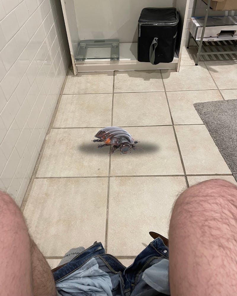 Student Sitting on Toilet Endures Standoff With Cockroach