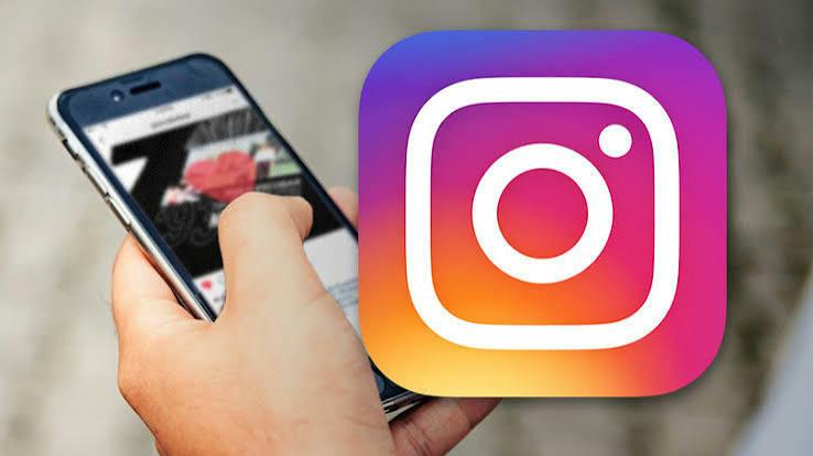 instagramplant.jpeg
