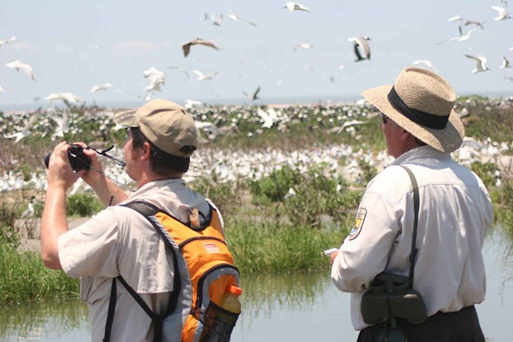 800pxbirdwatching_on_beach