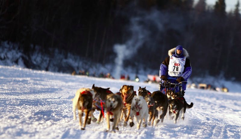 It’s Cold Now So You Have Permission to Look Like a Dog Sled Operator