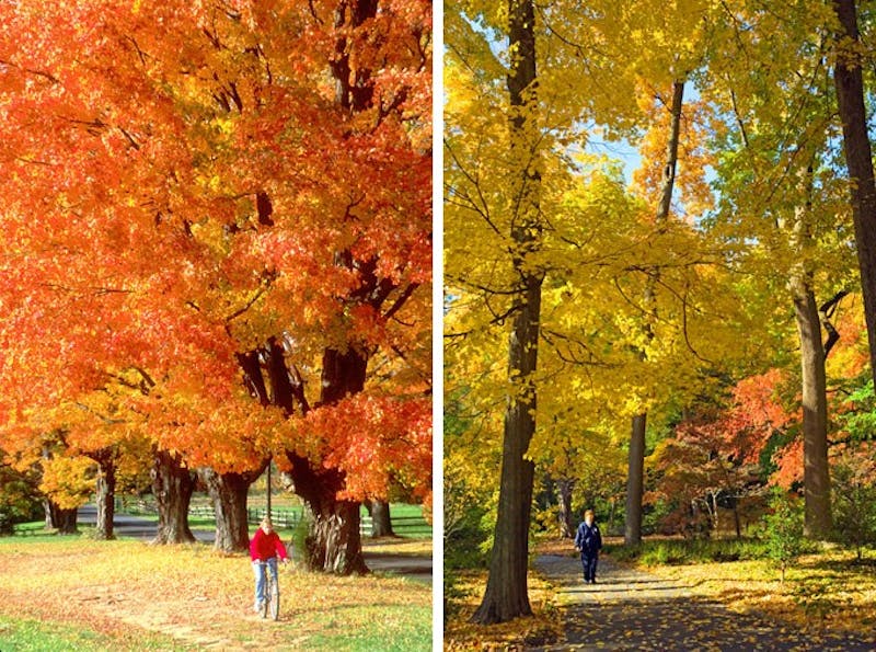 Penn Porn: Autumnal Edition