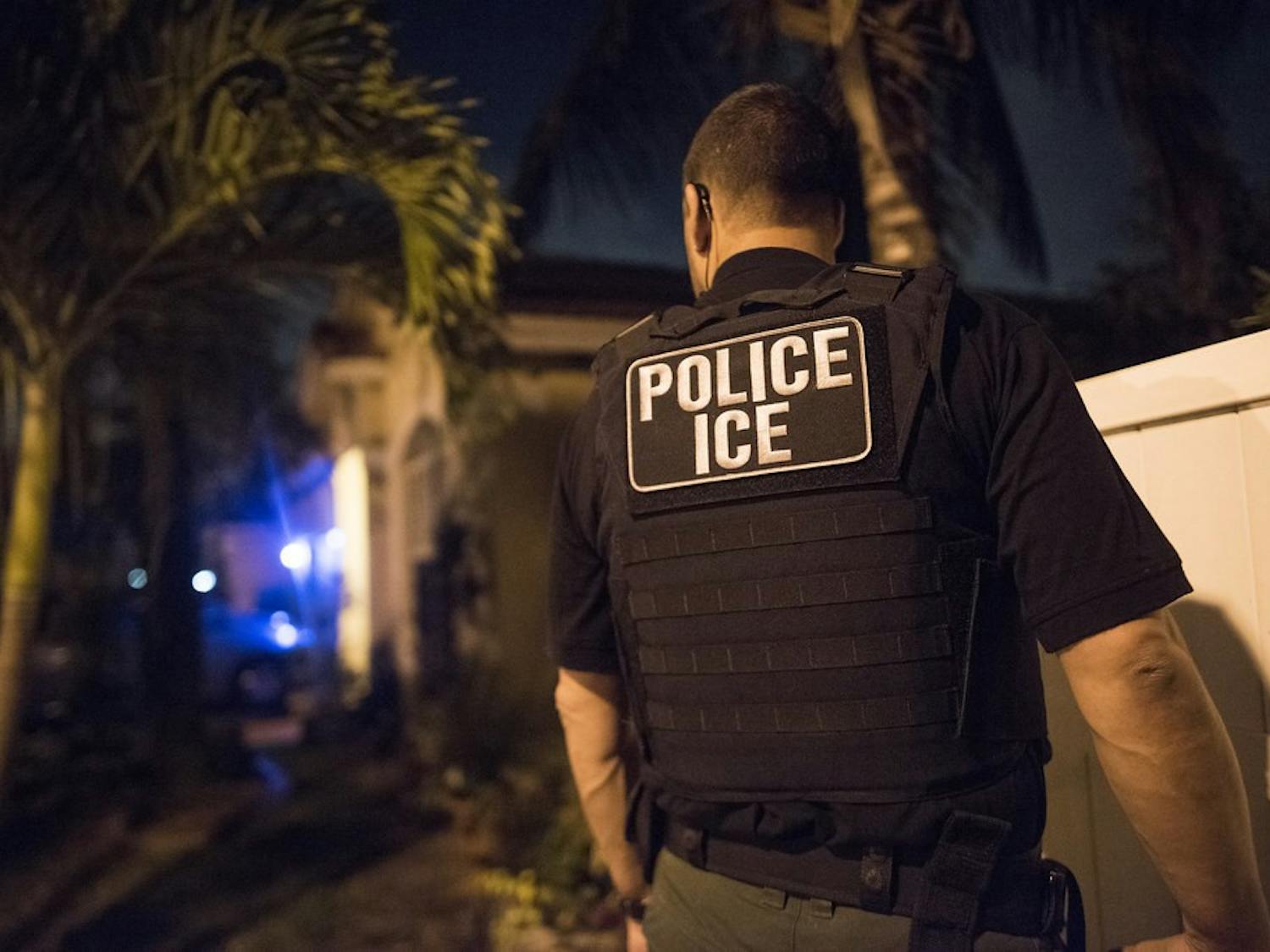 ICE McKinsey Immigration