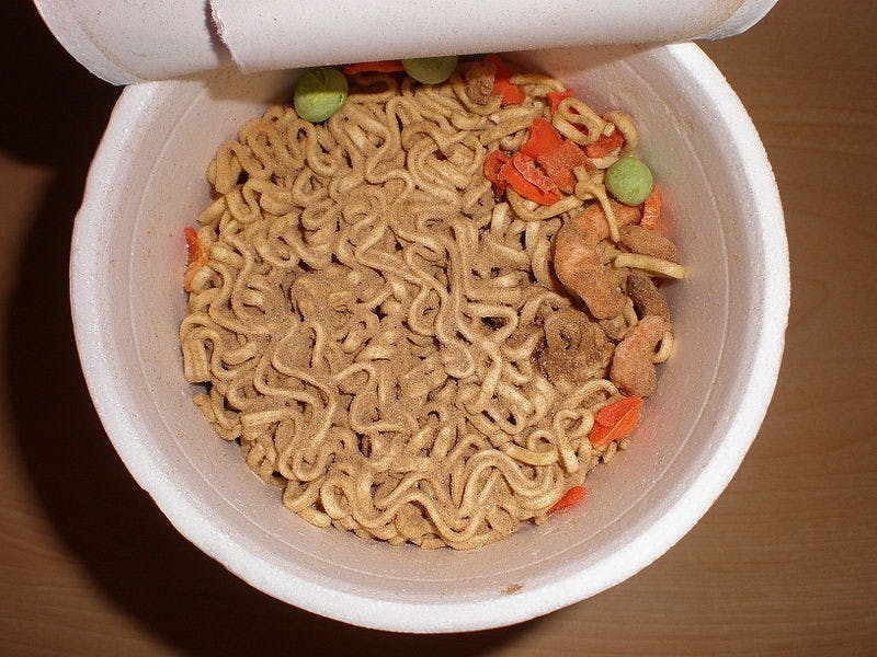 Sick! Noodles Left in Microwave Last Night Probably Still Okay to Eat