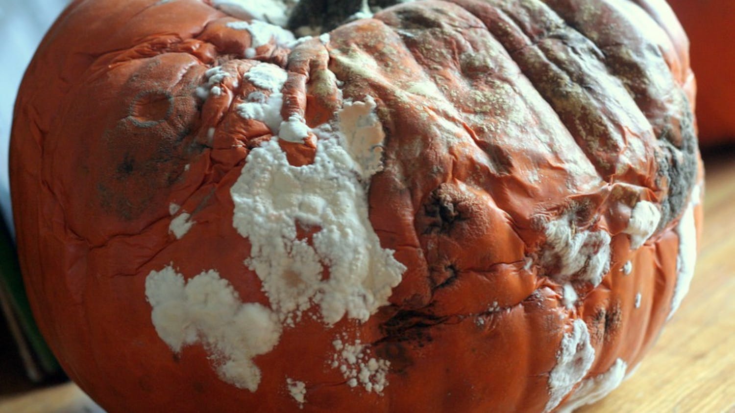 Photo by Steven Depolo / CC BY 2.0