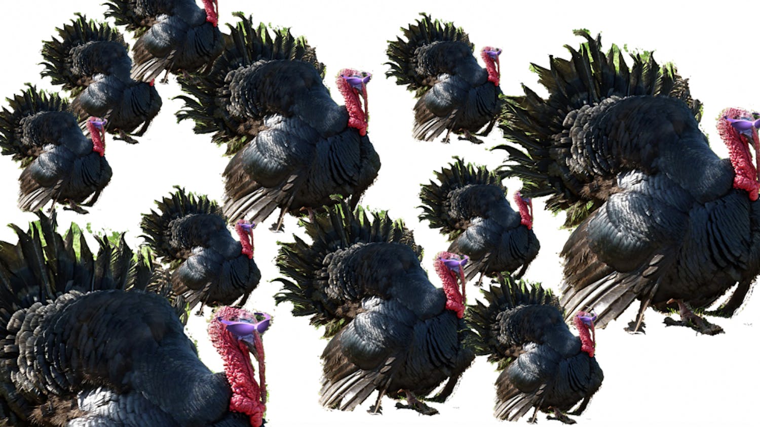 Photo by Jamain, OpenClipart-Vectors (edited) / CC BY-SA 1.0